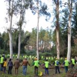 Festa dell’albero 2014: settecento alberi piantati da 10.000 volontari in oltre 50 eventi nel Lazio