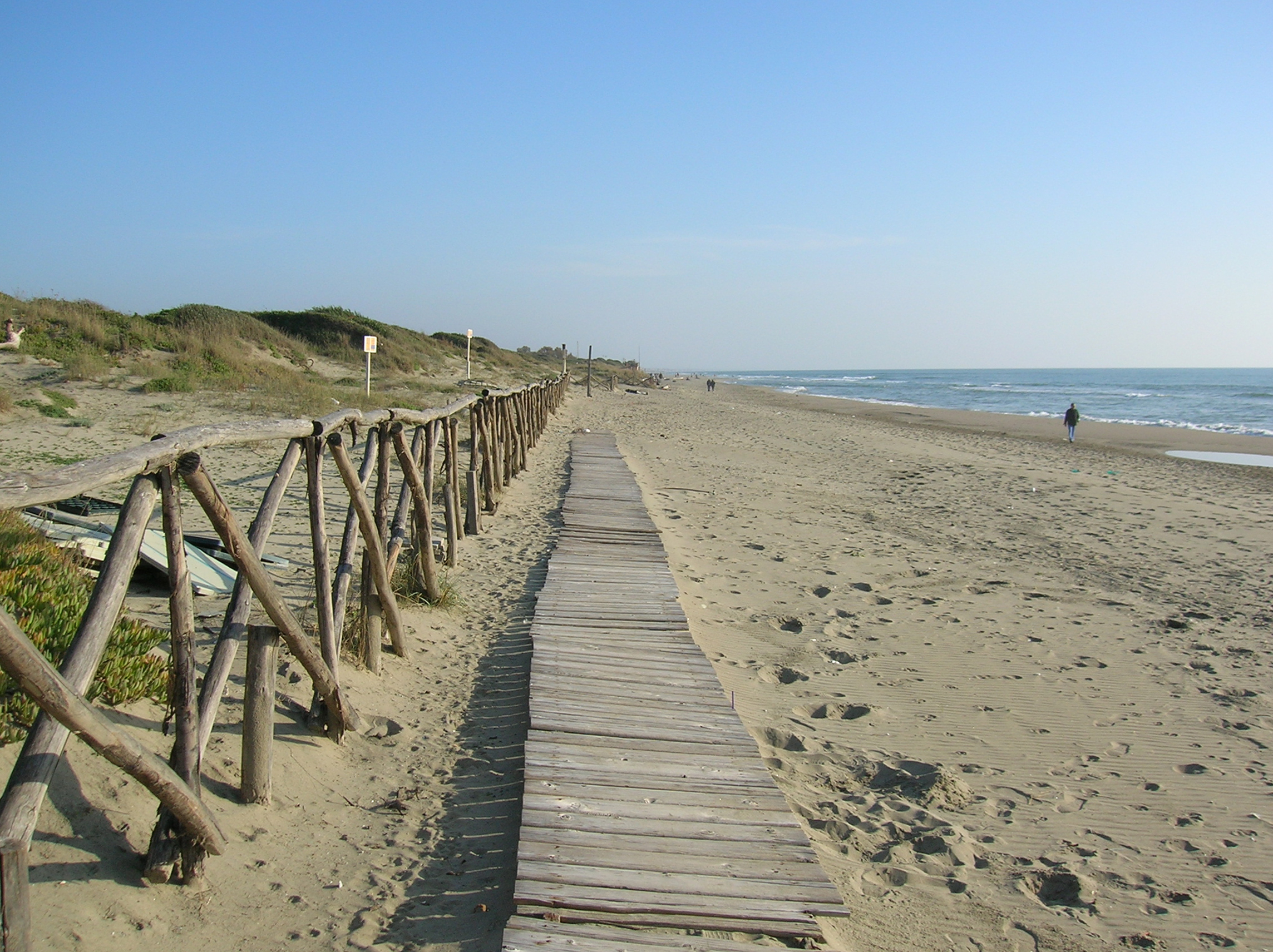 Spiaggia Libera Per Cani Free Dog Village Trip For Dog