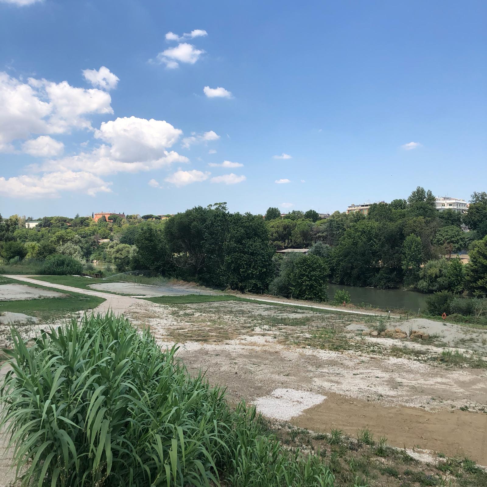 Spiaggia Tiberis A Roma Buttati Oltre Centomila Euro Perché